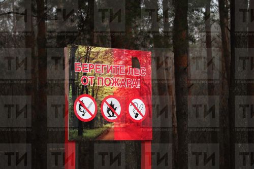 Актанышта 14 апрельдән 11 майга кадәр янгынга каршы махсус режим гамәлдә