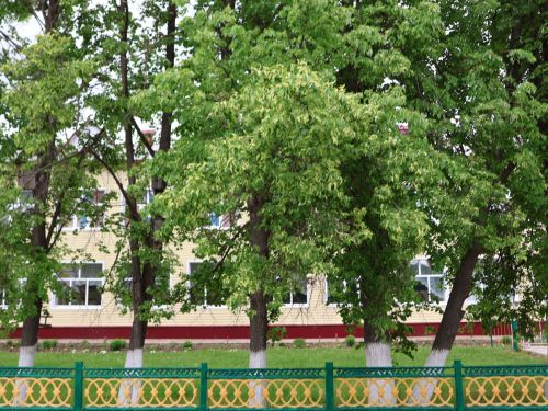 Иң төзек һәм матур авыл җирлекләре район Сабан туенда игълан ителәчәк