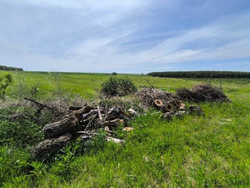 В рамках санитарного двухмесячника продолжаются совместные рейды сотрудников Министерства экологии и ГБУ «Безопасность дорожного движения»!