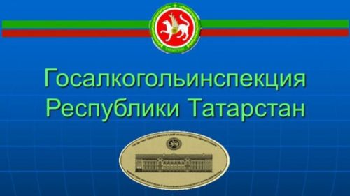 Кулланучыга дәгъва төзүдә ярдәм күрсәтелде