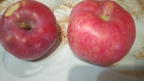 Баш өянәге булачагын сизсәгез, алма ашап куегыз