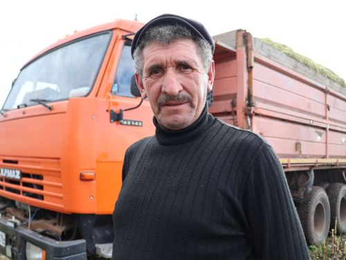 Сыерның сөте телендә: «Әнәк» агрофирмасы өлкәннәре силос салуда хезмәт куя