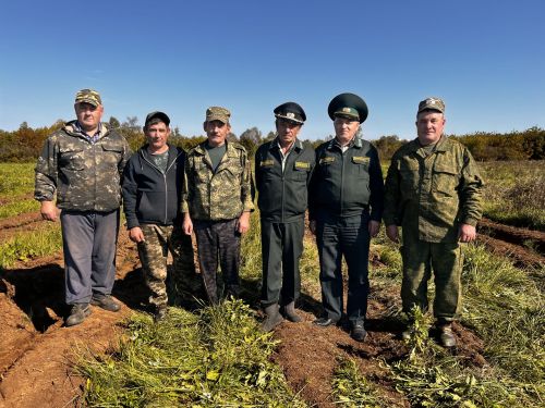 Яшел байлыгыбызны саклаучылар: Актаныш урманчылары һөнәри бәйрәмнәре алдыннан йомгак ясый