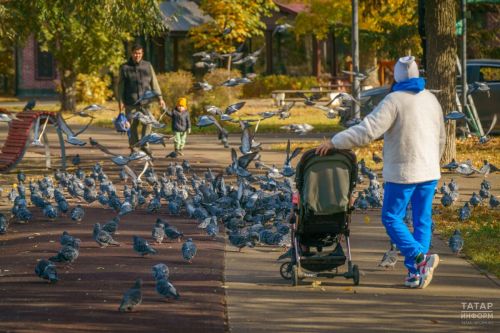 Татарстанлыларга ноябрь бәйрәмнәрен 8 көнгә кадәр озайту ысулы турында сөйләделәр