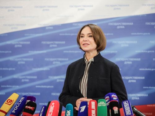 Альфия Когогина: Малые инновационные компании должны получать все положенные МСП льготы