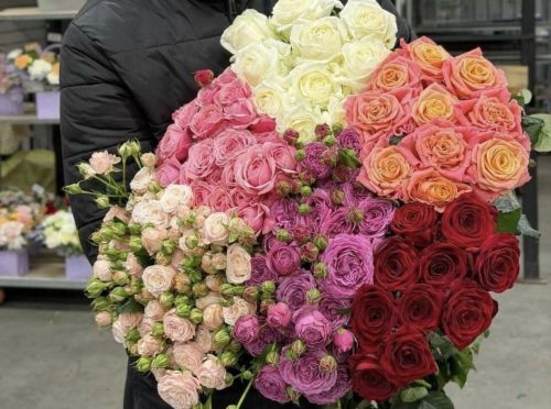 Мамадышта яңа теплица комплексыннан беренче роза чәчәкләре уңышын җыйдылар