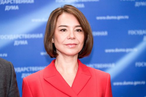 Альфия Когогина: Принятая инициатива дает регионам право принимать решения в отношении нестационарных торговых объектов