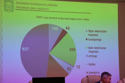 Актаныш районында «Яшьлек» яшьләр үзәгендә гражданнар җыены узды