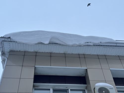 Аяк астына гына түгел, өскә дә карагыз!