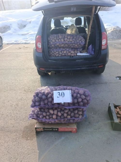Актаныш җитештерүчеләре Чаллы халкына авыл хуҗалыгы продукциясен тәкъдим итте