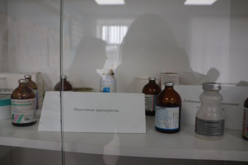 Авыл тормышына мәхәббәт: «Профдебют»та яшь ветеринарларны сынадылар