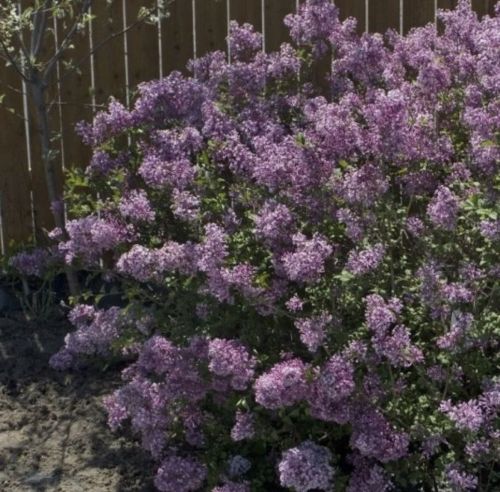 20-26 майга йолдызнамә: бу атнада кайсы билгеләргә сак булырга кирәк?