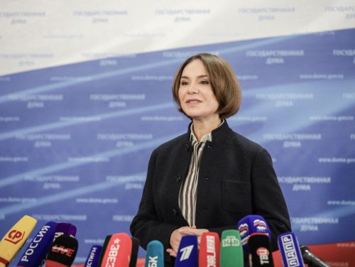 Альфия Когогина выступила за государственную поддержку самозанятых и индивидуальных предпринимателей