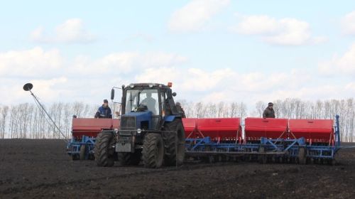 Актаныш районы хуҗалыкларының чәчү күрсәткечләре