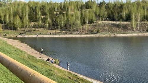 Ике тапкыр уйлагыз: 8-14 майга йолдызнамә