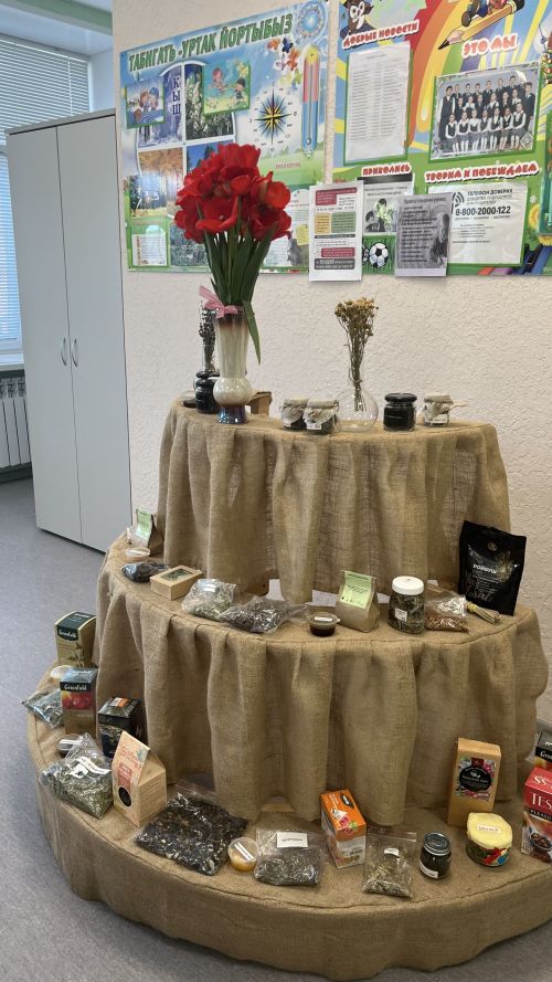 Шифалы үләннәр дөньясында: Актанышның беренче мәктәбендә «Фиточәй» проекты уңышлы тормышка ашырыла