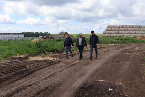 Кышка әзерлек – бүгенге көннең төп бурычы