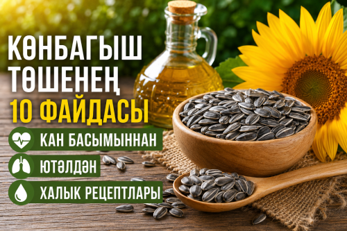 Көнбагыш төшенең без белмәгән 10 файдасы: Кан басымыннан һәм ютәлдән халык рецептлары