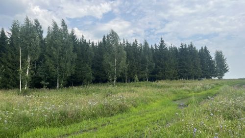 Бүген бездә Украина БПЛАсын бәреп төшергәннәр