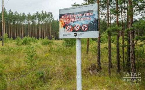 Татарстан Республикасы Урман хуҗалыгы министрлыгы урманнарда янгын куркынычы классының артуы турында хәбәр итте