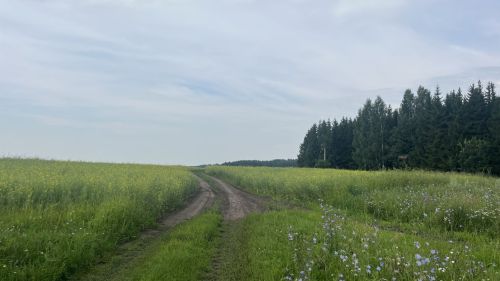 Татарстанның бер районында пилотсыз очкычлар бәреп төшерелгән