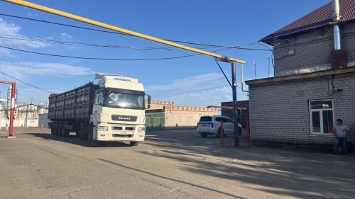 Алтын бөртекләр сакланган җирдә