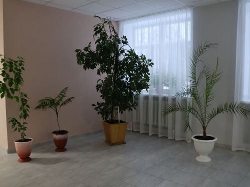 Авыл җирлекләренең Яңа елга бизәлеше