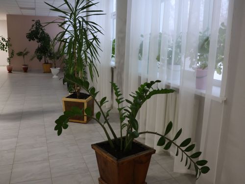 Авыл җирлекләренең Яңа елга бизәлеше