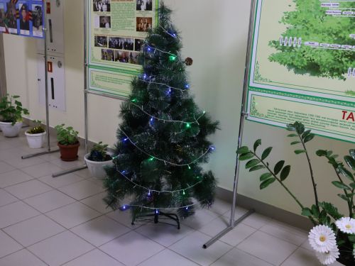 Авыл җирлекләренең Яңа елга бизәлеше