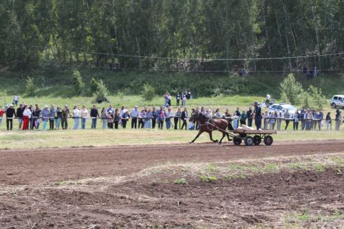 Атлар чапты Актаныш сабантуенда