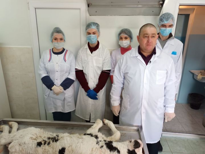 Ветеринар һөнәрен сайлаган Зилә