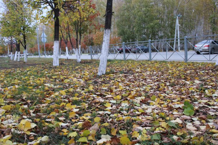Татарстанда әбиләр чуагы октябрь башына кадәр дәвам итәчәк.