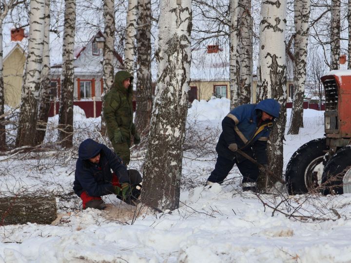 Каен полосалары юлны капламасын!