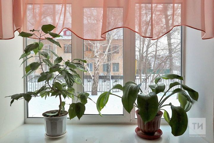 Гөл савытындагы ак куныктан ничек котылырга?