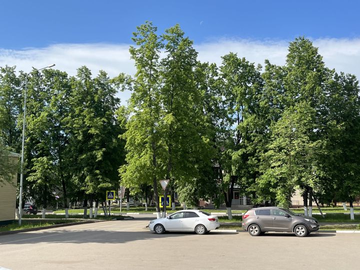 Алдагы атнада 28 градус эссе булачак
