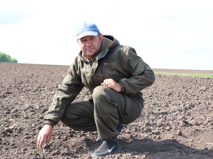 «Нур»ның уңыш нигезе- традицияләр һәм инновацияләр