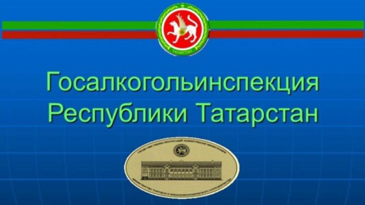 Кулланучыга дәгъва төзүдә ярдәм күрсәтелде