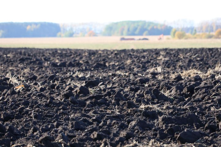 Актаныш районы кырларында көзге чәчү башланды
