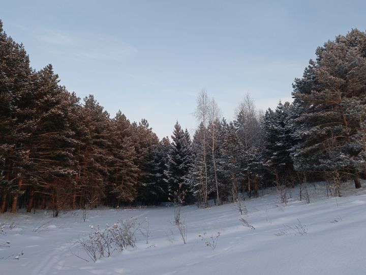Татарстанда көндез 25 градуска кадәр салкын булуы көтелә