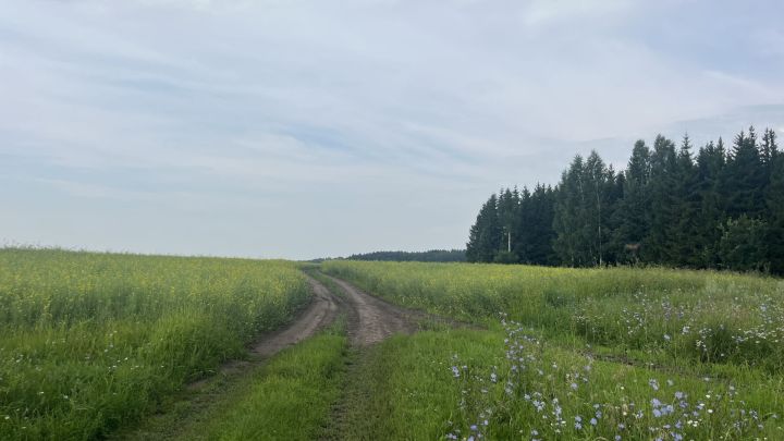 Татарстанның бер районында пилотсыз очкычлар бәреп төшерелгән
